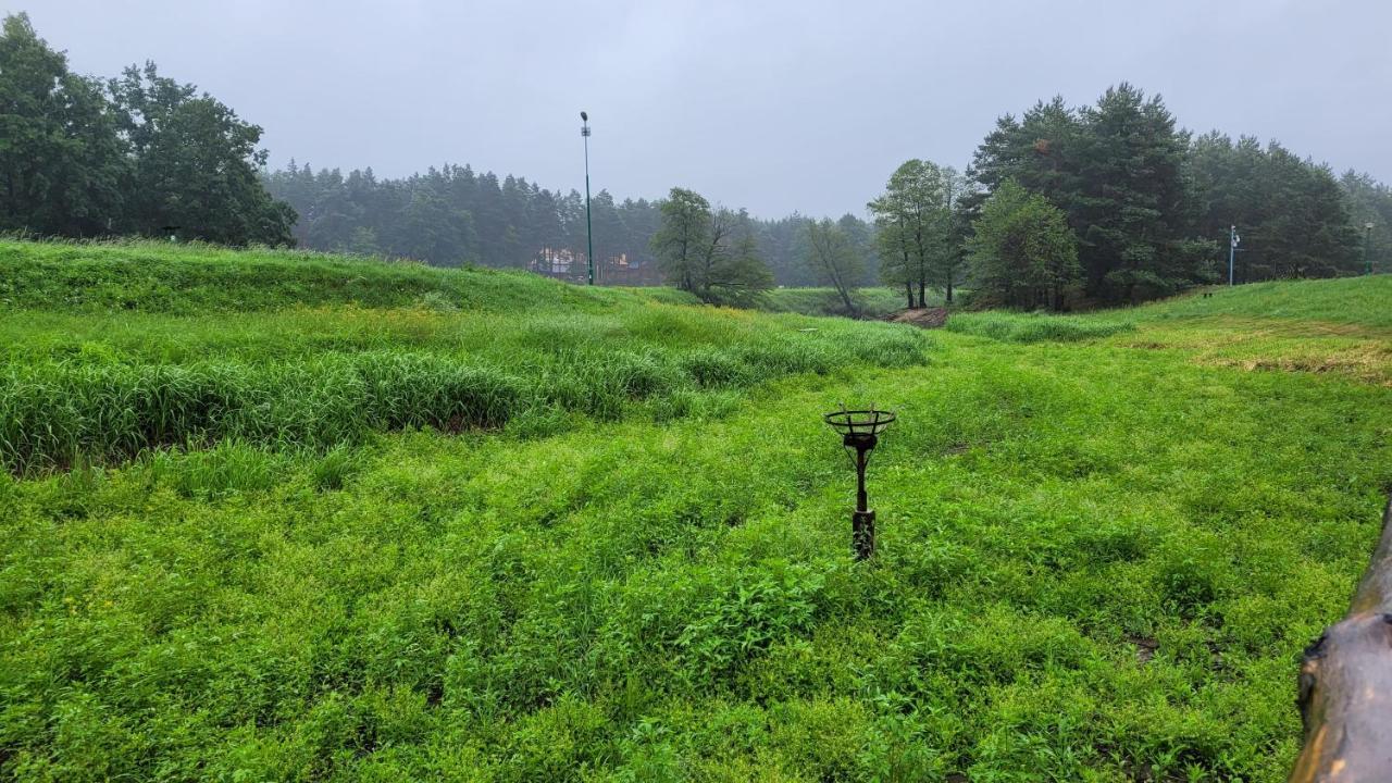 Domki Radawa Na Kliszowce Exteriör bild