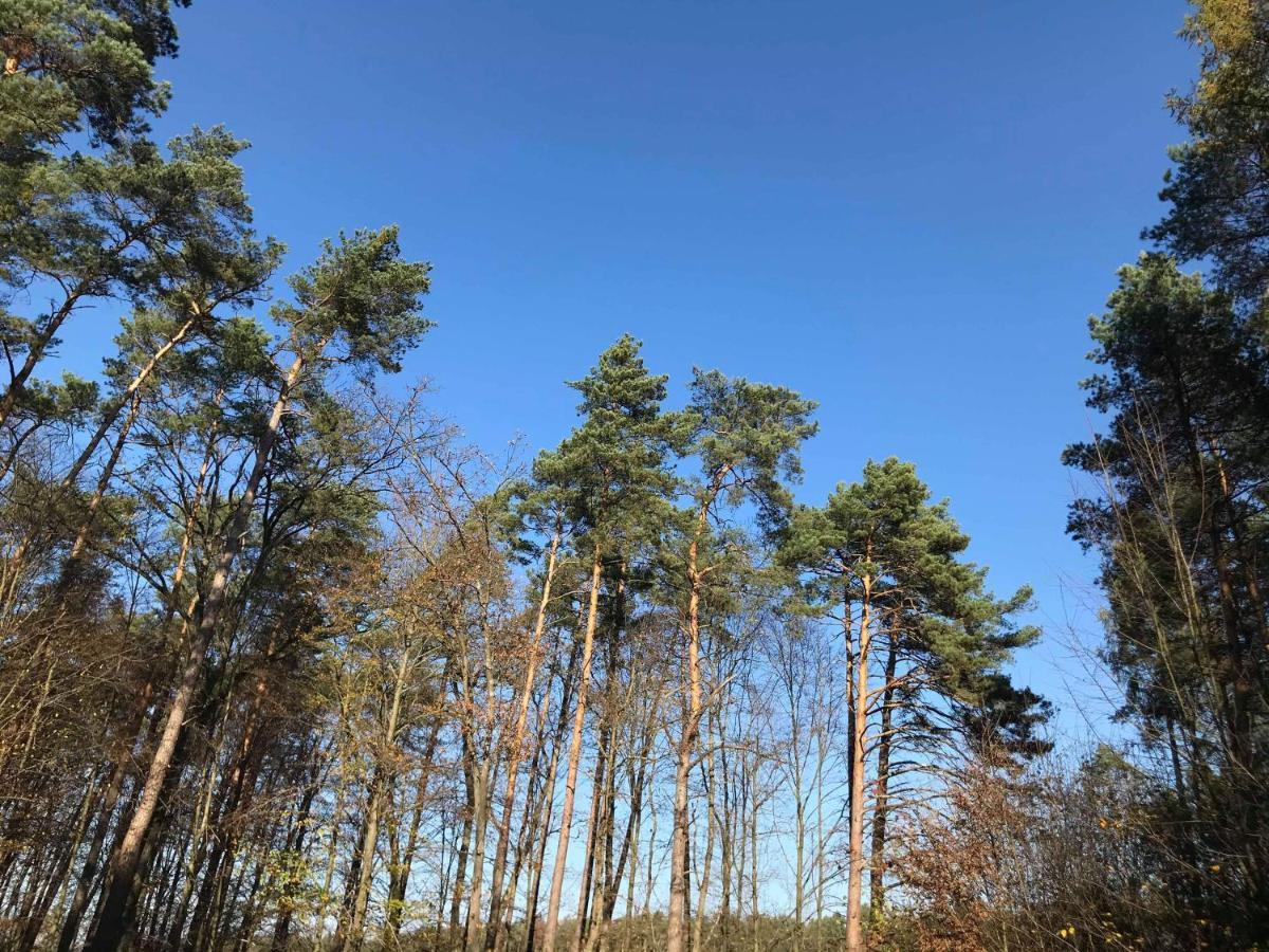 Domki Radawa Na Kliszowce Exteriör bild